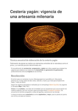 Cestería yagán: vigencia de 
una artesanía milenaria 
Técnica ancestral de elaboración de la cestería yagán 
Fabricación de p