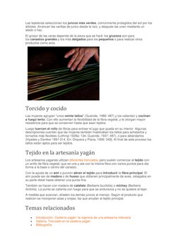 Las tejedoras seleccionan los juncos más verdes, comúnmente protegidos del sol por los 
árboles. Arrancan las varillas de jun