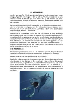 EL MEGALODÓN 
nombre que significa "diente grande", derivado de los términos griegos μέγας 
(megas, "grande", raíz megal-)