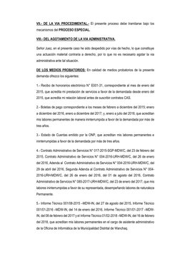 VII.- DE LA VIA PROCEDIMENTAL.- El presente proceso debe tramitarse bajo los 
mecanismos del PROCESO ESPECIAL. 
VIII.- DEL AG