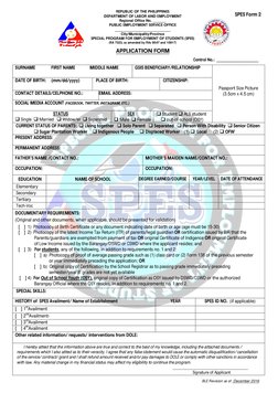 SPES Application Form 2025 | PDF | Government And Personhood ...