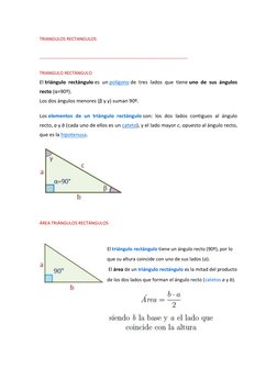 TRIANGULOS RECTANGULOS  
 
_______________________________________________________________________ 
 
TRIANGULO RECTÀNGULO 
E