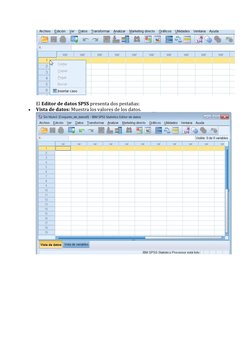 El Editor de datos SPSS presenta dos pestañas: 
• 
Vista de datos: Muestra los valores de los datos. (http://wpd.ugr.es/~bi
