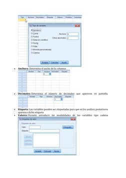 (http://wpd.ugr.es/~bioestad/wp-content/uploads/1_1_9.jpg) 
• 
Anchura: Determina el ancho de la columna
 
• 
Decimales: Det