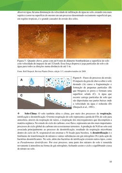 10 
 
 
absorver água, há uma diminuição da velocidade de infiltração de água no solo, estando esta mais 
sujeita a correr na