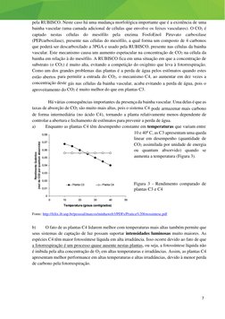 7 
 
 
pela RUBISCO. Neste caso há uma mudança morfológica importante que é a existência de uma 
bainha vascular (uma camada