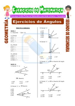 PRÁCTICA DIRIGIDA 
NIVEL I 
I).- Desarrolla:     ( 2pts. c/u) 
 
1).-Calcula:  
 
 
a) C(30°) = .............