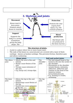 Movement at joints.
Hinge joints
Ball and socket joints
The elbow
joint
• Allows the arm to flex and 
extend.
• Biceps cause