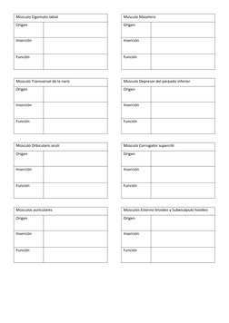 Músculo Cigomato labial
Origen
Inserción
Función
Músculo Transversal de la nariz 
Origen
Inserción
Función
Músculo Orbiculari