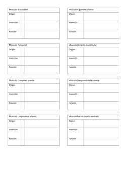Músculo Buccinador
Origen
Inserción
Función
Músculo Temporal
Origen
Inserción
Función
Músculo Complexo grande
Origen
Inserció