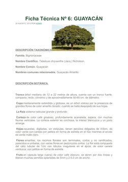 Ficha Técnica Nº 6: GUAYACÁN
28 AGOSTO, 2012 POR ADMIN
DESCRIPCIÓN TAXONÓMICA
Familia. Bignoniaceae
Nombre Científico. Tabebu