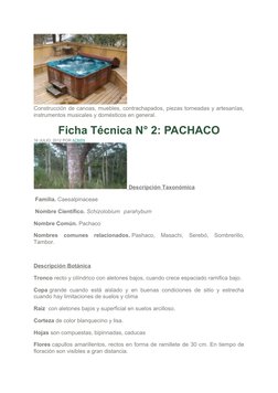 Construcción de canoas, muebles, contrachapados, piezas torneadas y artesanías,
instrumentos musicales y domésticos en genera