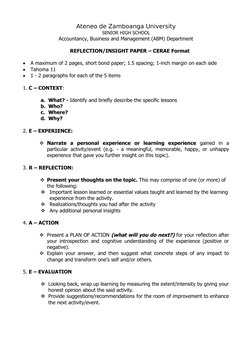 CERAE Format for Reflection Papers | PDF | Information | Mental Processes