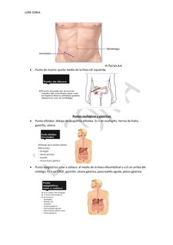LORE SORIA

Punto de monro: punto medio de la línea UE izquierda.
Puntos esofágicos y gástricos

Punto xifoideo: debajo de