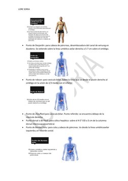 LORE SORIA

Punto de Desjardin: para cabeza de páncreas, desembocadura del canal de wirsung en 
duodeno. Se extiende sobre l