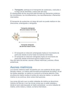 
Transporte: participa en el transporte de sustancias y vesículas a 
lo largo de las dendritas y sobre todo del axón.
El cit