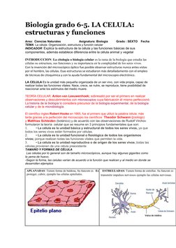 (https://2.bp.blogspot.com/-ifc_Y77isHI/WsP2b7OXb3I/AAAAAAAAAO0/Rg_UoV-ETFYyXrU24Z3ymnAR5zjSdOU5gCLcBGAs/s1600/descarga.jpg)