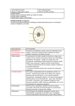  -Movilidad frecuente
-Reserva: Glucógeno y grasa
-Movilidad limitada
-Reserva: Almidón y aceites
SEMEJANZAS: 
Ambas poseen m