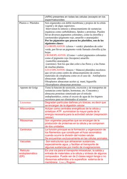 (ARN) presentes en todas las células (excepto en los 
espermatozoides
Plastos o  Plástidos 
Son organoides con doble membrana