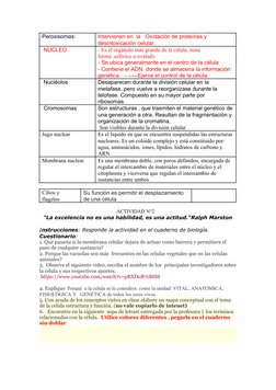 Peroxisomas:
Intervienen en  la   Oxidación de proteínas y 
desintoxicación celular.
 NUCLEO
- Es el orgánulo más grande de l