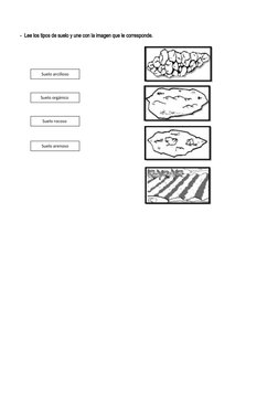 Tipos de Suelo para Niños de Primaria | PDF | Suelo | Roca (geología)