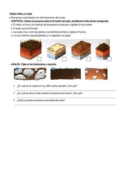 Tipos de Suelo para Niños de Primaria | PDF | Suelo | Roca (geología)