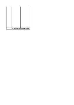   22,900,000.00   22,900,000.00 
