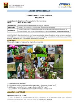 ÁREA DE CIENCIAS SOCIALES  
 
CUARTO GRADO DE SECUNDARIA 
MODULO 3 
 
Equipo Docente: Bety Salazar Piscoya y Ma