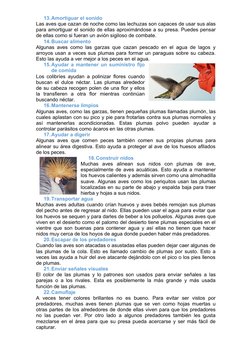 13.Amortiguar el sonido
Las aves que cazan de noche como las lechuzas son capaces de usar sus alas
para amortiguar el sonido