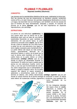 PLUMAS Y PLUMAJES
Separata científica (Alumnos)
CONCEPTO: 
L  as
     plumas son la característica distintiva de las aves, re