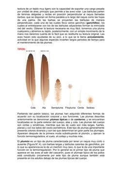 textura de un tejido muy ligero con la capacidad de soportar una carga pesada
por unidad de área, principio que permite a las