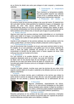 es su forma de añadir aire extra para atrapar el calor corporal y mantenerse
calientes.
3. Controlando  la  temperatura
corpo