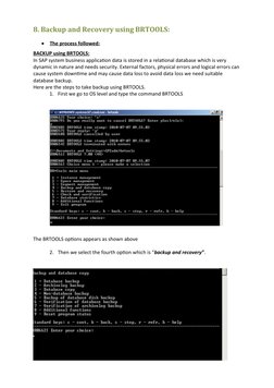 Backup and Restore with BRTOOLS Guide | PDF | Backup | Computer File