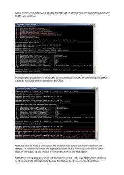 Backup and Restore with BRTOOLS Guide | PDF | Backup | Computer File