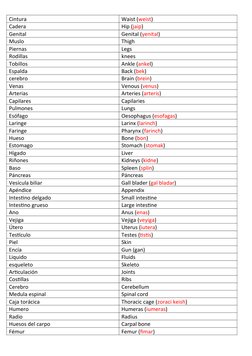 Cintura
Waist (weist)
Cadera
Hip (jaip)
Genital
Genital (yenital)
Muslo
Thigh
Piernas
Legs
Rodillas
knees
Tobillos
Ankle (ank