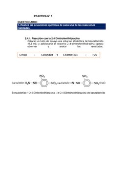 PRACTICA N° 5 
 
CUESTIONARIO: 
1.-Realice las ecuaciones químicas de cada una de las reacciones 
realizadas. 
 
 
5.4.1. Rea