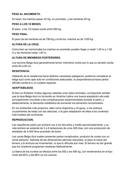 PESO AL NACIMINETO.
Al nacer, los machos pesan 42 Kg. en promedio, y las hembras 40 kg
PESO A LOS 18 MESES.
El peso  a los 18