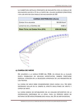 GOBIERNO REGIONAL PUNO 
 
                                           MEMORIA DE CALCULO DE LA CUBERTURA METALICA DEL ESTADIO