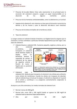 5 
 
 
  
✓ Precursor de las sales biliares: Estas sales representan la vía principal para la 
excreción del colesterol corpo