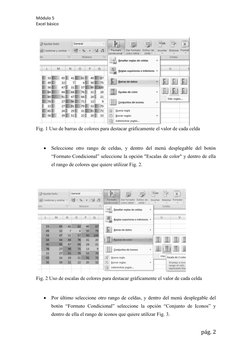 Módulo 5
Excel básico
Fig. 1 Uso de barras de colores para destacar gráficamente el valor de cada celda

Seleccione otro ran