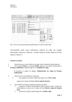 Módulo 5
Excel básico
Fig. 3 Uso de iconos para destacar gráficamente el valor de cada celda
Adicionalmente  puede  marcar  g