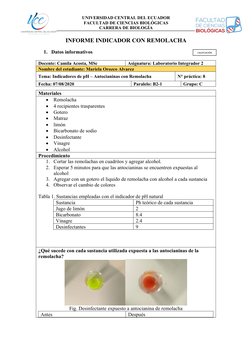 UNIVERSIDAD CENTRAL DEL ECUADOR
FACULTAD DE CIENCIAS BIOLÓGICAS 
CARRERA DE BIOLOGÍA
INFORME INDICADOR CON REMOLACHA
1. Datos