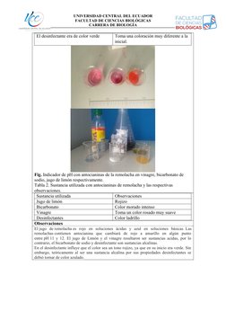 UNIVERSIDAD CENTRAL DEL ECUADOR
FACULTAD DE CIENCIAS BIOLÓGICAS 
CARRERA DE BIOLOGÍA
El desinfectante era de color verde
Toma