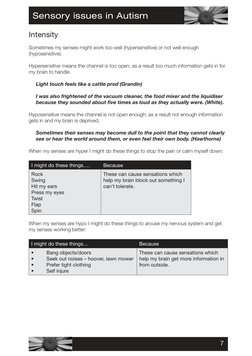 Understanding Sensory Issues in Autism | PDF | Senses | Perception