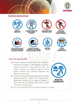 Bureau Veritas Cardinal Safety Rules | PDF | Personal Protective ...