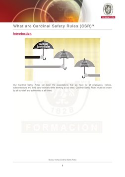 Bureau Veritas Cardinal Safety Rules | PDF | Personal Protective ...