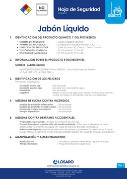 Hoja de Seguridad
LImpieza
Av. Santa Ana #130 Chacra Cerro Comas - Lima
Telf.: 719-6166   719-6167    R.U.C.: 20215195539
E-m