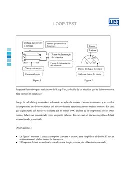 LOOP-TEST 
 
 
 
 
 
 
 
 
Esquema ilustrativo para realización del Loop Test, y detalle de las medidas que se deben contro