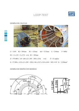 LOOP-TEST 
 
 
 
 
 
 
 
EJEMPLO DE CÁLCULO 
 
 
 
U = 110V     R2 = 205mm       R1 = 125mm       hn1 = 27,5mm      L = 210