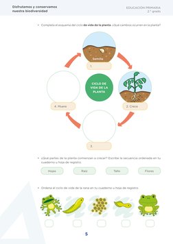 5
Disfrutamos y conservamos 
nuestra biodiversidad
EDUCACIÓN PRIMARIA 
2.° grado
• Completa el esquema del ciclo de vida de l